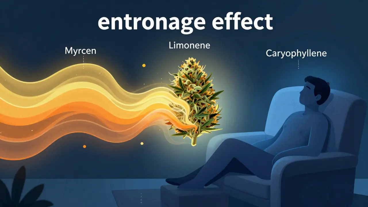 Abstraktní ilustrace entourage efektu terpénů a kanabinoidů